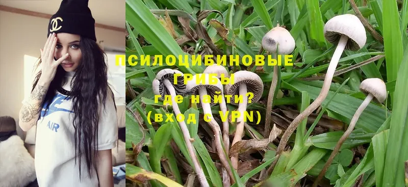 Галлюциногенные грибы Magic Shrooms  Миллерово 